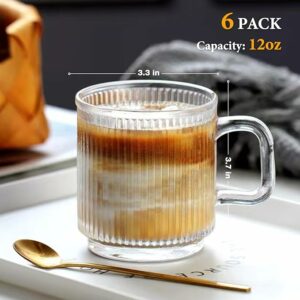 6 PACK Premium Glass Coffee Mugs with Handle