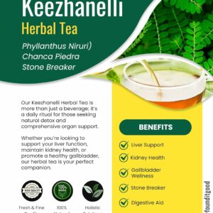 FounditGood Keezhanelli Tea Chanca Piedra Stone Breaker Liver Kidney & Gallbladder Support 60 Dip Tea Bags