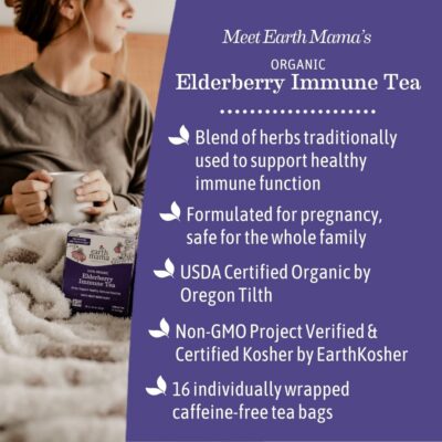 Earth Mama Organic Elderberry Immune Support Tea with Echinacea 16 Teabags