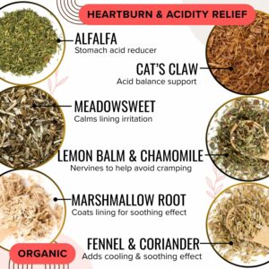 Acid Reflux Tea Reduces Abdominal Inflammation Heartburn and Acid Reflux
