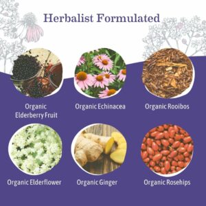 Earth Mama Organic Elderberry Immune Support Tea with Echinacea 16 Teabags