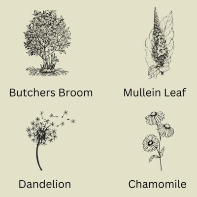 Herbal Tea Blend for Hemorrhoids Relief & Digestive Support 35 Tea Bags