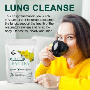Mullein Leaf Tea Bags Lungs Cleanse and Respiratory Support Herbal Teas 40 Tea Bags