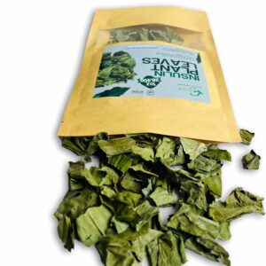 Dried Insulin Plant Leaves 1 OZ Natural Loose Leaf Tea Costus Igneus