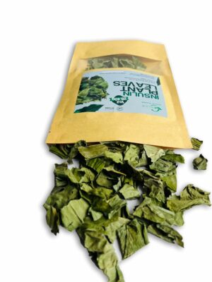 Dried Insulin Plant Leaves 1 OZ Natural Loose Leaf Tea Costus Igneus