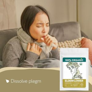 Organic Elderflower Tea Bags for Respiratory Health Immunity 40 Teabags