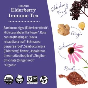 Earth Mama Organic Elderberry Immune Support Tea with Echinacea 16 Teabags