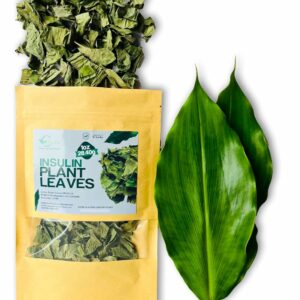 Dried Insulin Plant Leaves 1 OZ Natural Loose Leaf Tea Costus Igneus