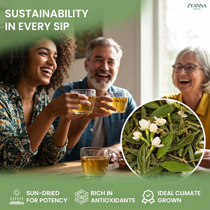 Zyanna Jasmine Green Tea Premium Whole Leaf Herbal Green Tea 50 Cups