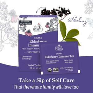 Earth Mama Organic Elderberry Immune Support Tea with Echinacea 16 Teabags