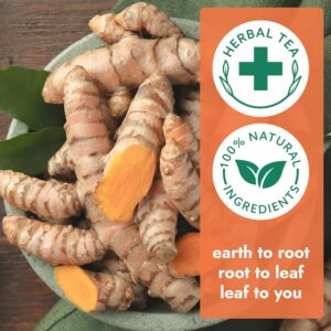 Vital Bloom 120 Tea Bags Ginger Turmeric Cinnamon Tea 100% Natural Ingredients