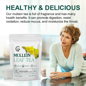 Mullein Leaf Tea Bags Lungs Cleanse and Respiratory Support Herbal Teas 40 Tea Bags