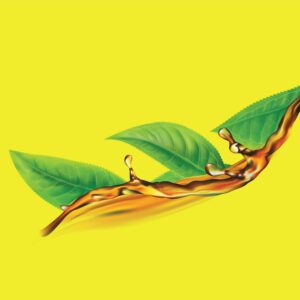 Teh Kotak Sweetened Jasmine Green Tea 6 Pack