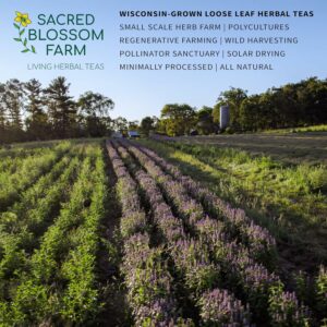 Immunity Herbal Tea Sacred Blossom Farm 1.9 oz. Caffeine Free Loose Leaf Tisane