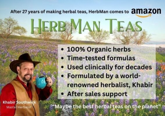 DIGESTIVE TEA for gas bloating & weak digestion formulated