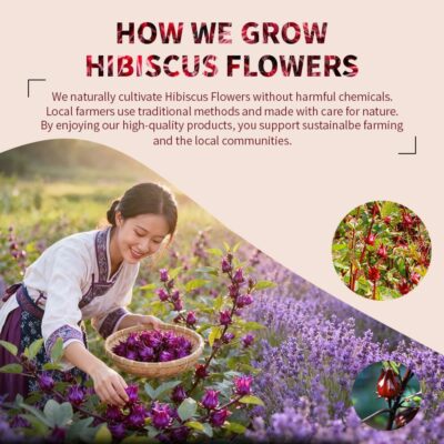 ZenVitality Premium Hibiscus Tea Organic 100 tea bags