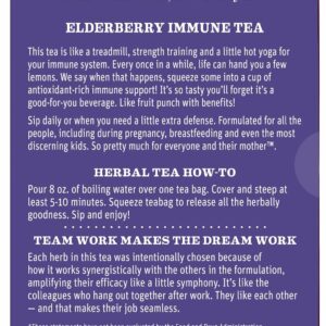 Earth Mama Organic Elderberry Immune Support Tea with Echinacea 16 Teabags