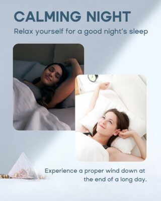 HerbLight 15 Night Calming Time Tea Bags