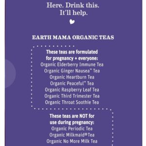 Earth Mama Organic Elderberry Immune Support Tea with Echinacea 16 Teabags