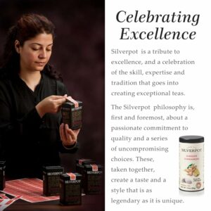 Silverpot Ginger Cinnamon Tea Bags 50 Teabags 100% Natural