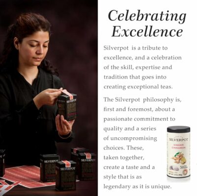 Silverpot Ginger Cinnamon Tea Bags 50 Teabags 100% Natural