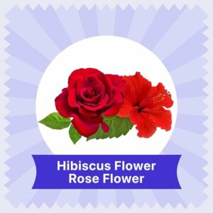 BLUE TEA Hibiscus Tea 18 Teabags SKIN GLOW ENHANCING TEA