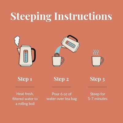 The Republic of Tea Orange Ginger Mint Tea 36 Tea Bags