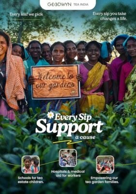 Goodwyn Tulsi holy basil Tea with Ginger & LemoN 100 Green Tea Bag