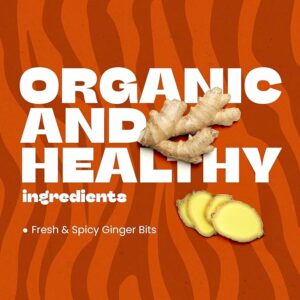 Tiger Organics Ginger Herbal Tea 100 Teabags