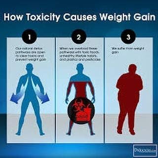 Purge Detox Slimming Tea 1 Week Supply 100% Natural