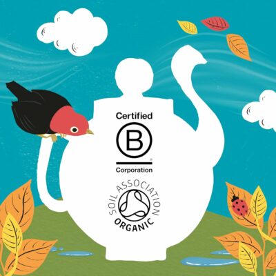 Clipper Tea Organic Herbal & Green Tea Set Gift Box