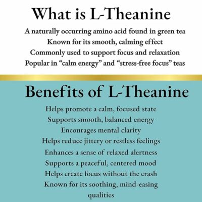 MOOD Focus Green Tea Smooth Energy & Clear Focus 2.5oz Pouch