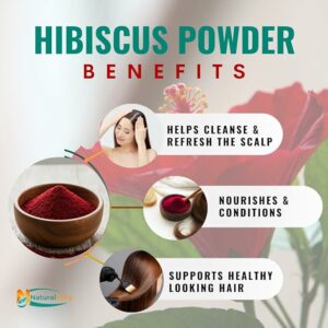 Hibiscus Gudhal Powder for Hair & Face 8 oz