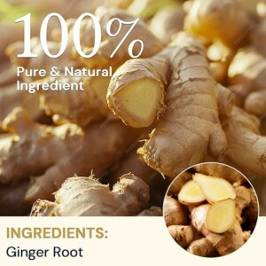 Ginger Root Herbal Tea Caffeine Free 8 OZ
