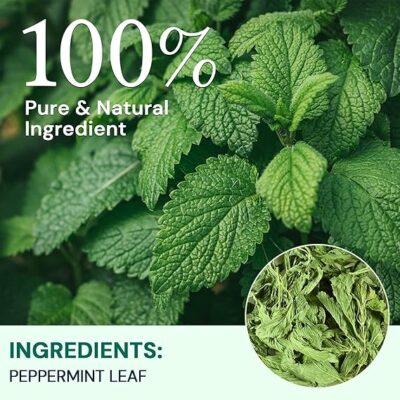 Hiihone Peppermint Tea Bags Pure & Natural Peppermint Leaves 100 Teabags