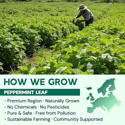 Hiihone Peppermint Tea Bags Pure & Natural Peppermint Leaves 100 Teabags