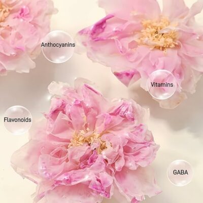 HoolySeek Dried Rose Buds Edible Flowers for Rose Tea 12g