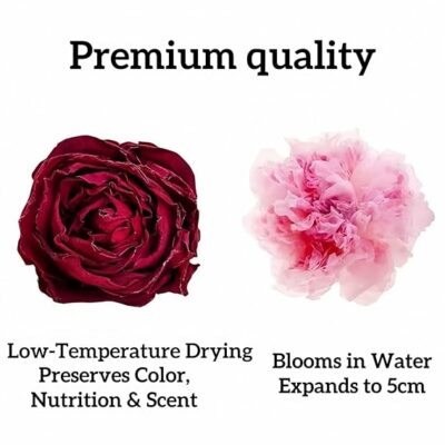 HoolySeek Dried Rose Buds Edible Flowers for Rose Tea 12g