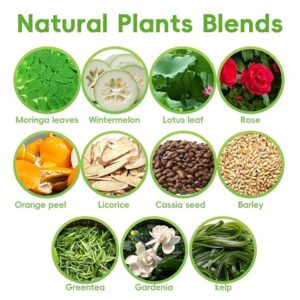 R&J Organica 20-Day Slim & Detox Herbal Tea 20 Tea Bags