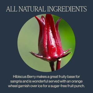 Rishi Tea Hibiscus Berry Herbal Tea 10+ Servings