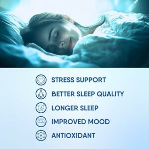 Sleep Aid Herbal Tea Organic Calming Blend with Lemon Balm