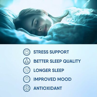 Sleep Aid Herbal Tea Organic Calming Blend with Lemon Balm