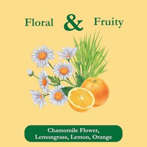 Tadin Chamomile Citrus Herbal Tea 24 Tea Bags