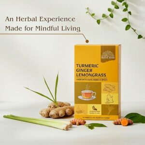 Turmeric Ginger Lemongrass Tea Bags Herbal Blend 30 Tea Bags