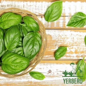 Yerbero Loose Tea Holy Basil 100% All Natural 4oz