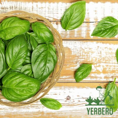 Yerbero Loose Tea Holy Basil 100% All Natural 4oz