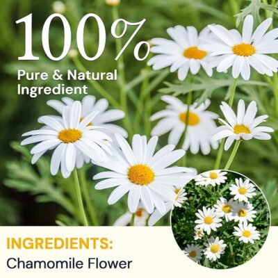 Chamomile Tea Bags Chamomile Flower Herbal Tea 50 Teabags