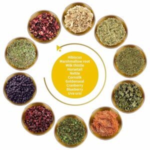 FunctionaliQi Flush Herbal Tea for Urinary Health 14 Teabags