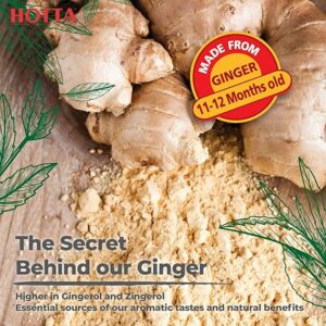 HOTTA Instant 100% Ginger Drink Powder 12 Sachets