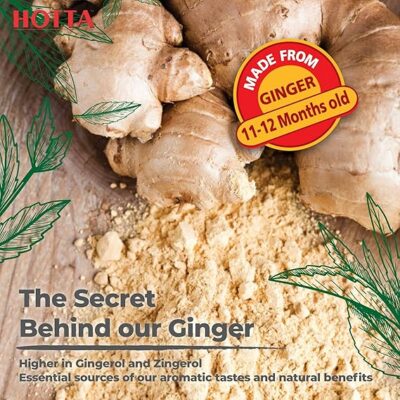 HOTTA Instant 100% Ginger Drink Powder 12 Sachets